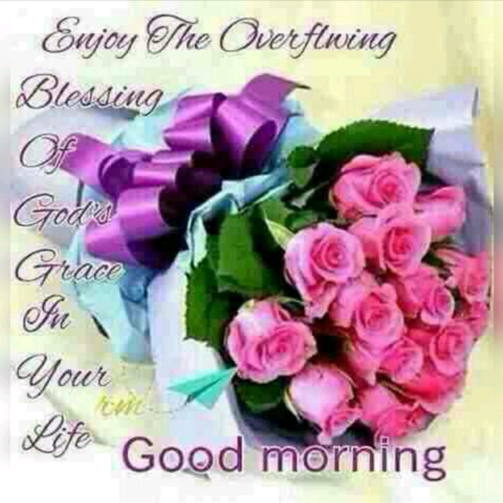 Meet your Posher, Phyllis